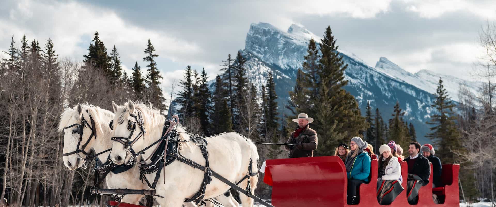 Winter sleigh ride in Banff with Banff Trail Riders
