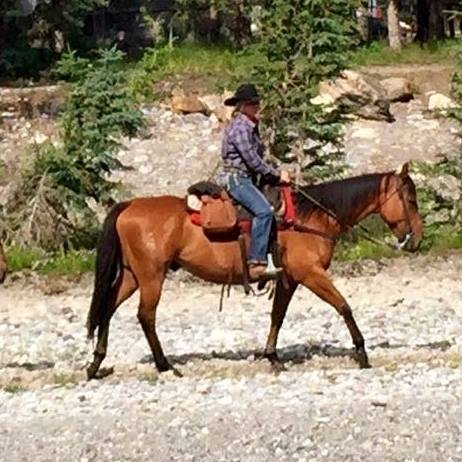 Banff Trail Riders CB Guest Horse