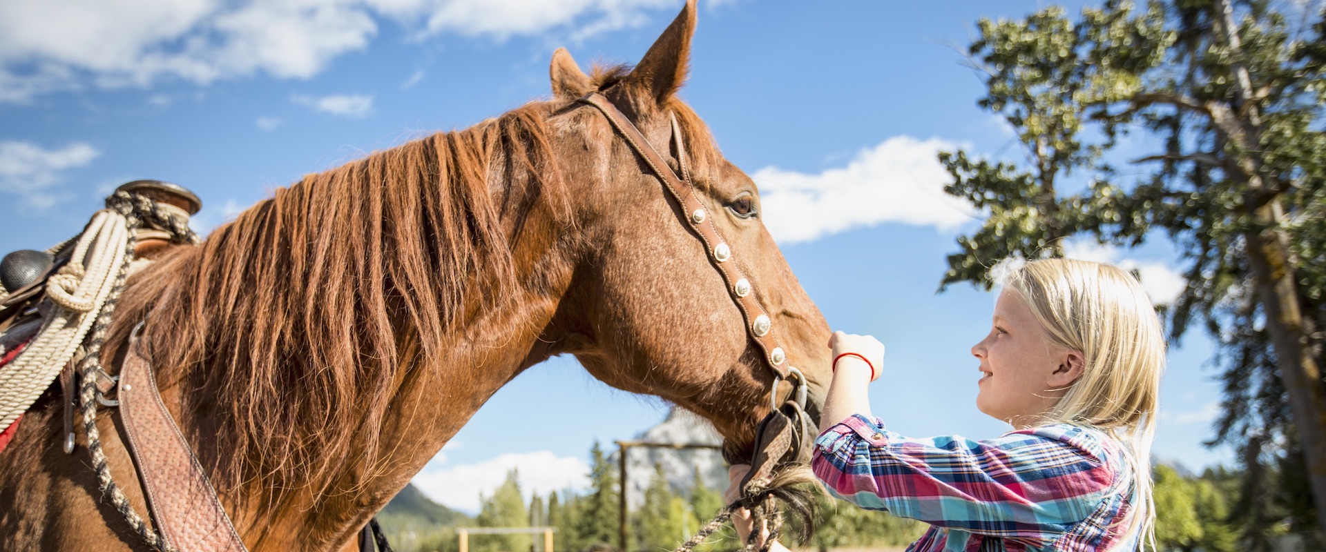 Family Horseback Rides in Banff, Canadian Rockies with Banff Trail Riders