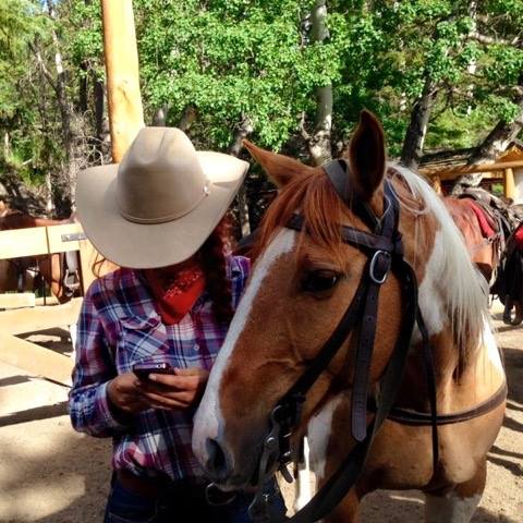 Banff Trail Riders Dexter Guest Horse