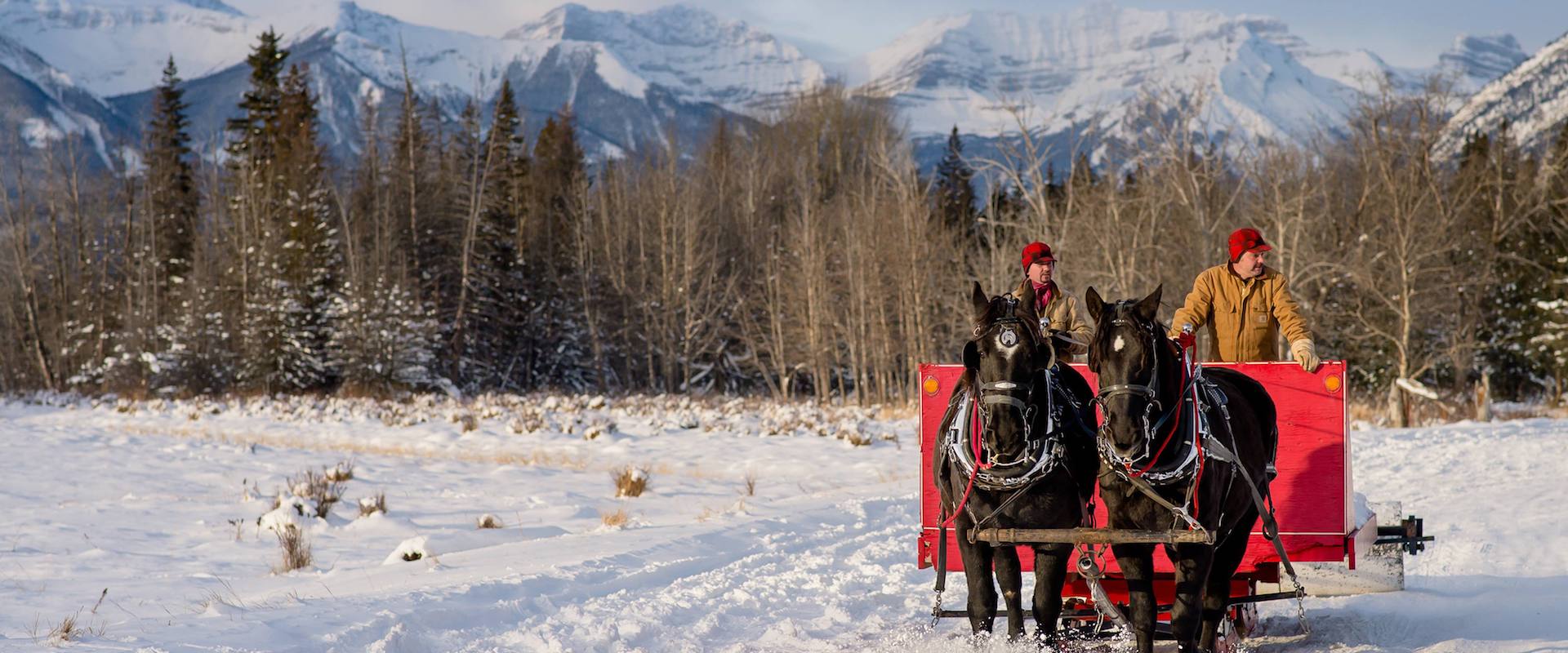 Sleigh Ride at the Banff Christmas Market with Banff Trail Riders