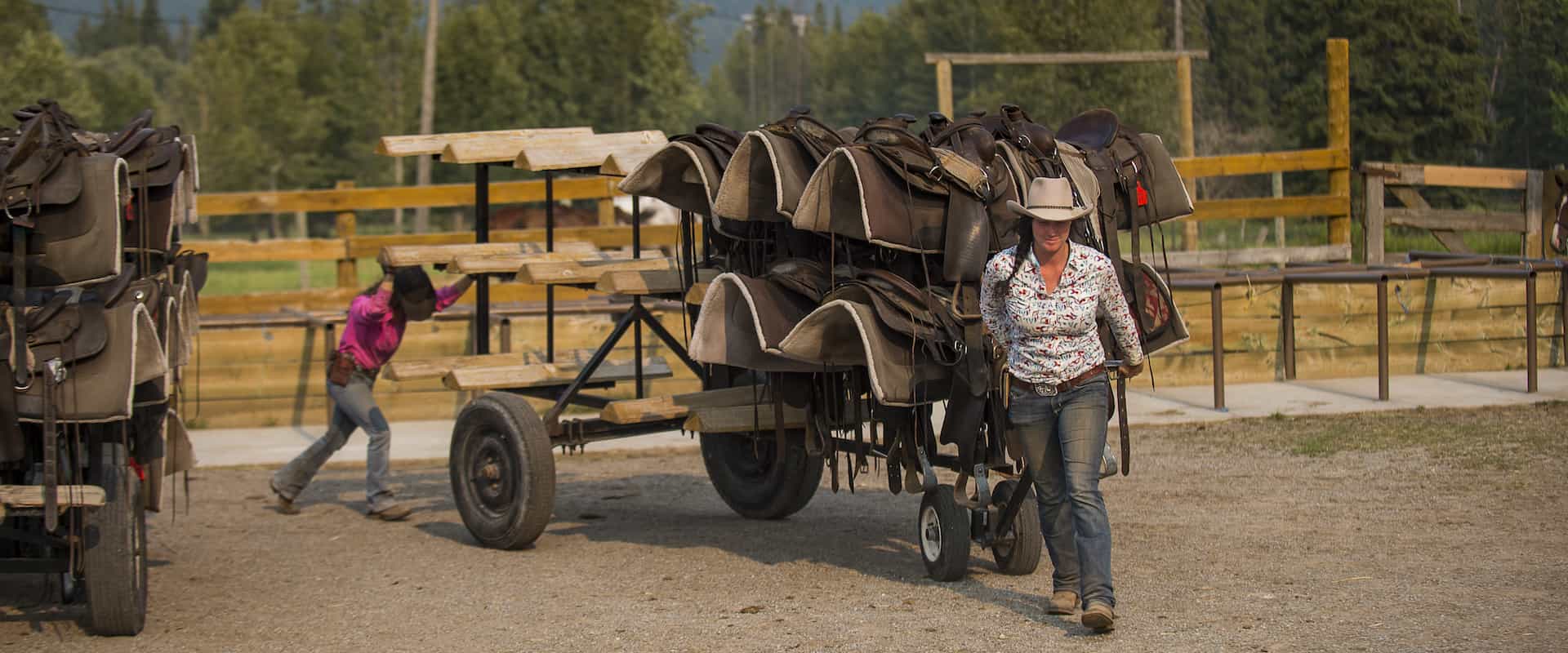 Each horse is fitted with a customized saddle