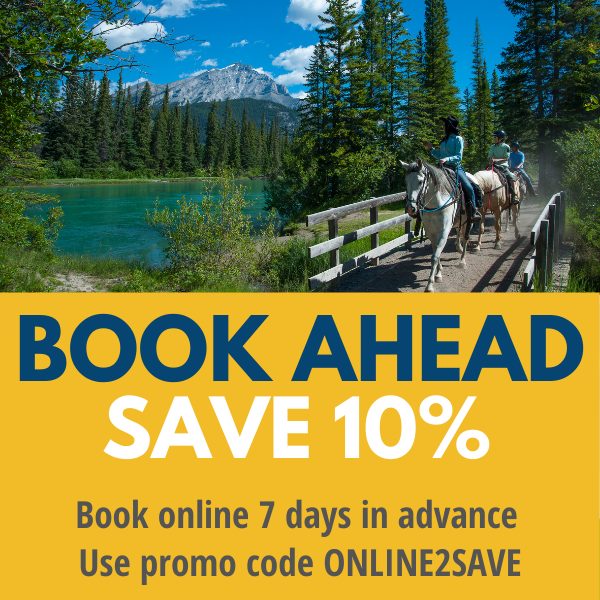 Summer ONLINE2SAVE promo Summer ONLINE2SAVE promo