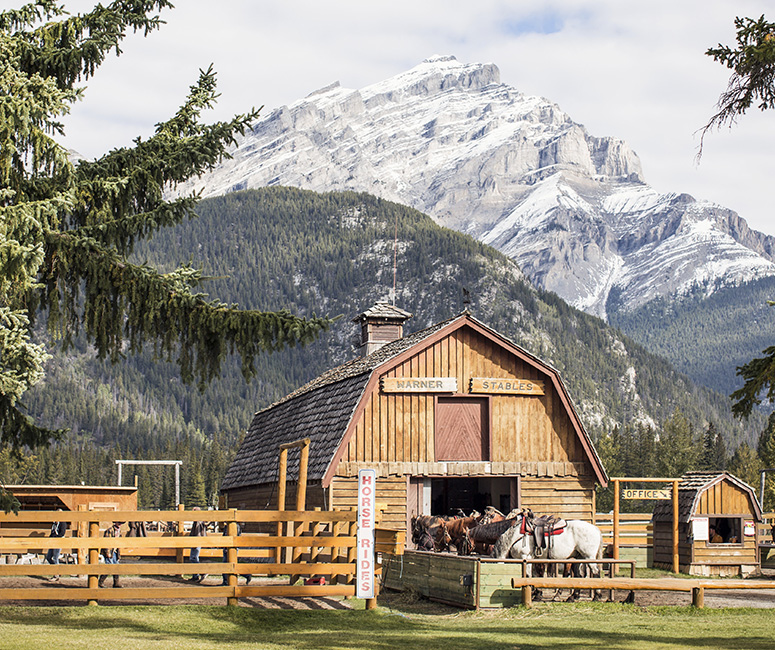 Warner Stables in Banff, home of Banff Trail Riders, beneath Cascade Mountain