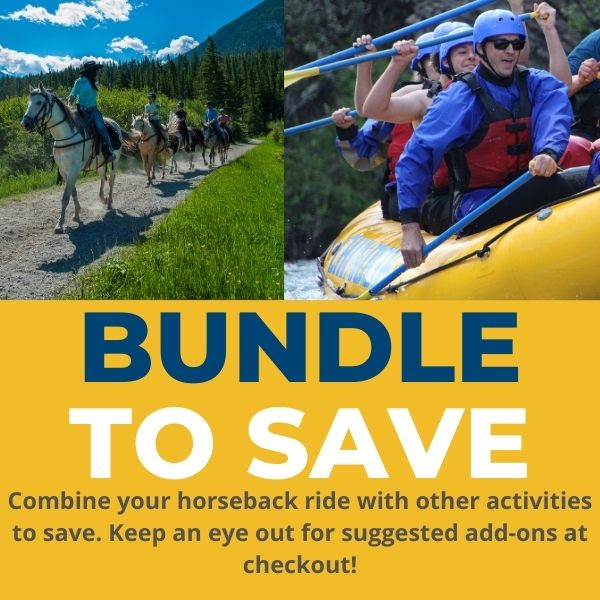 Bundle-BTR3 Bundle to SAVE